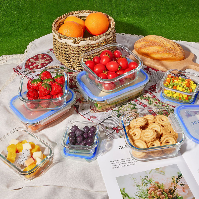 Glass Meal Prep Containers Lun - مراجعة Food Storage Lunch Box وسعره