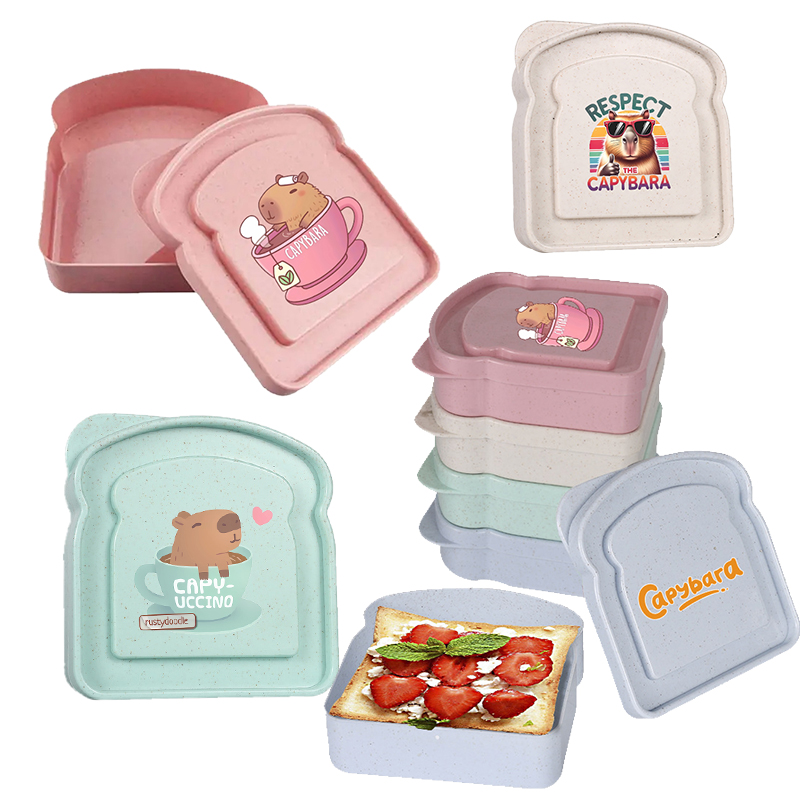 Capybara Sandwich Food Storage - مراجعة Food Storage Lunch Box وسعره