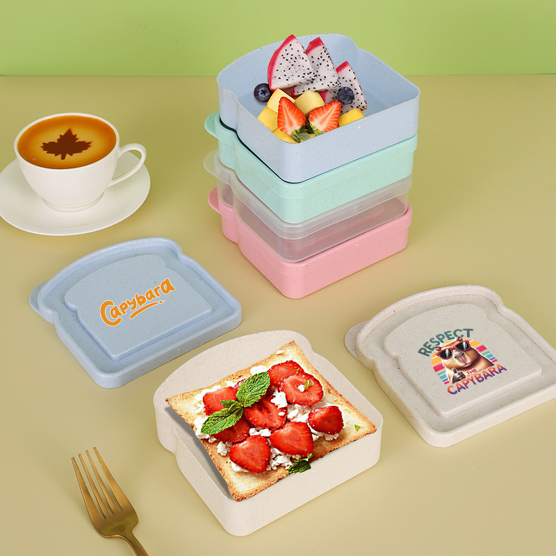 Capybara Sandwich Food Storage - مراجعة Food Storage Lunch Box وسعره