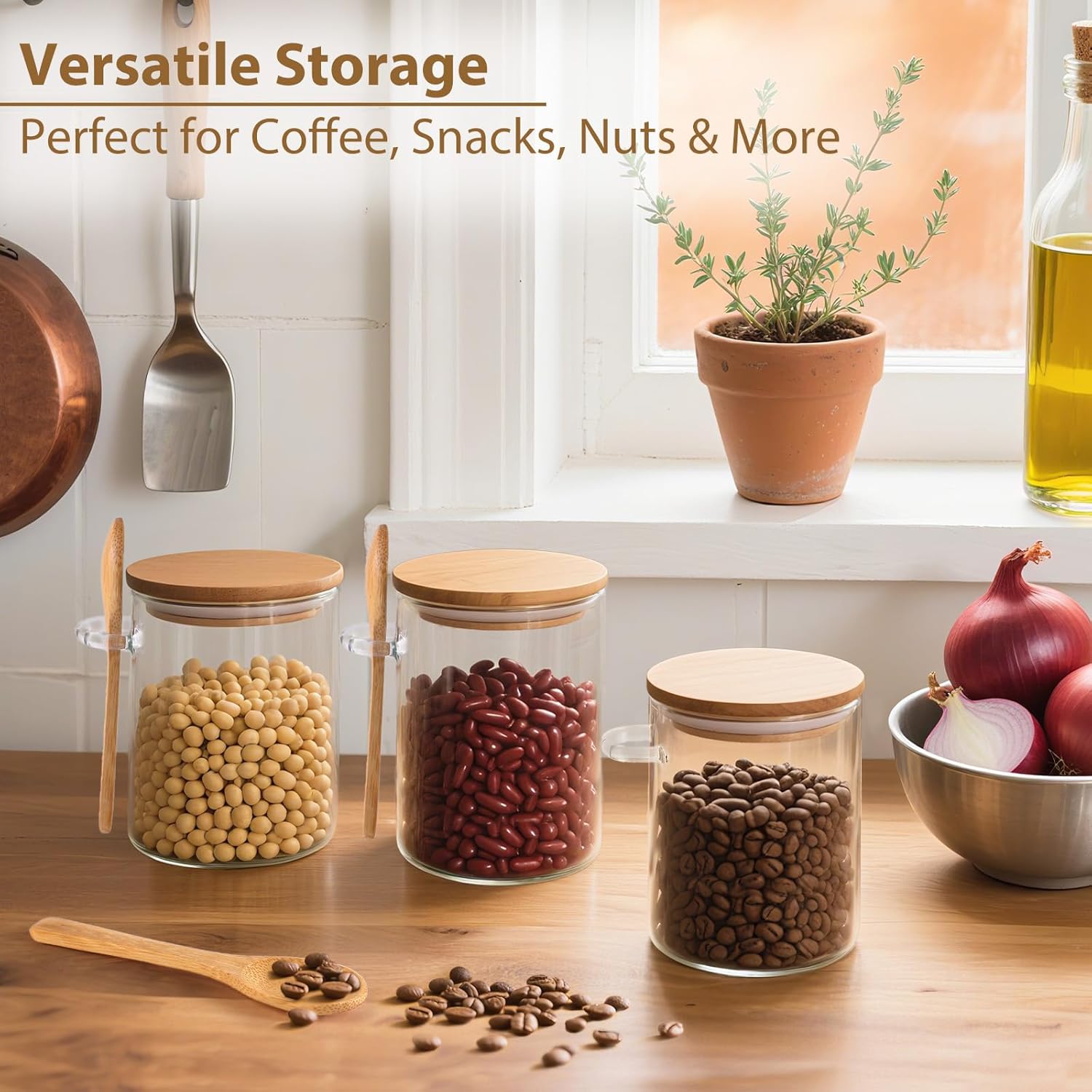 6 Pack Overnight Oats Containe - مراجعة Glass Meal Prep Container وسعره