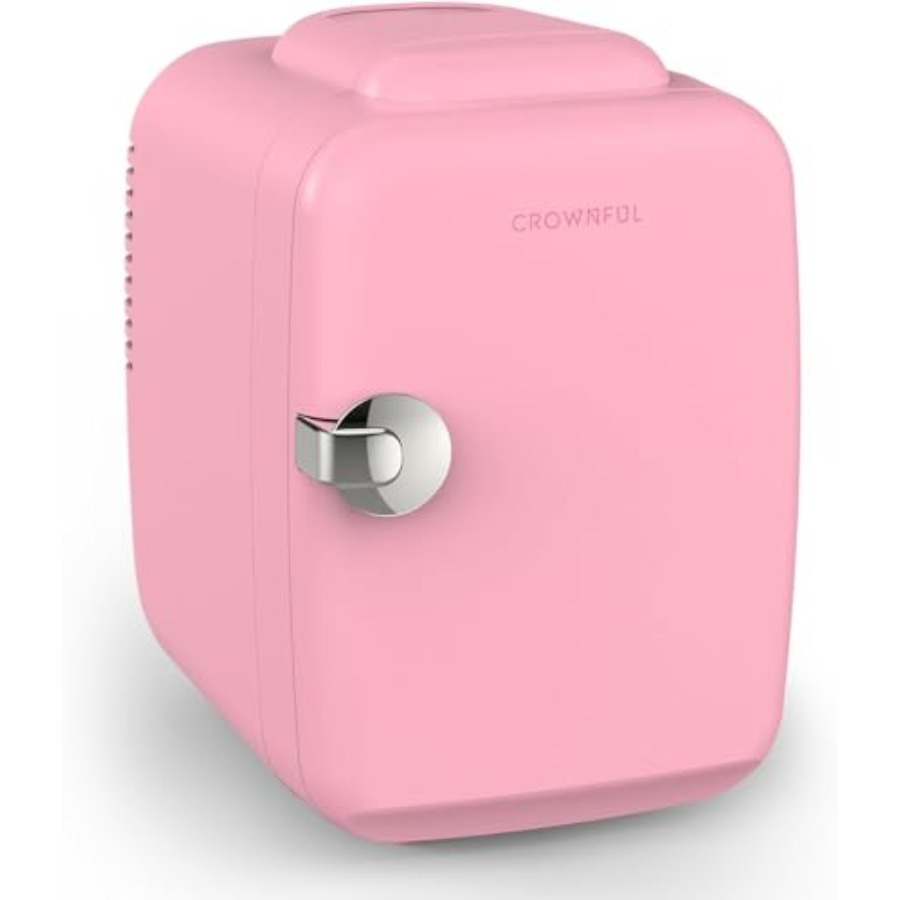 Mini Fridge, 4 Liter/6 Can Por - مراجعة Portable Food Warmer وسعره