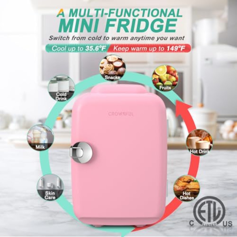 Mini Fridge, 4 Liter/6 Can Por - مراجعة Portable Food Warmer وسعره
