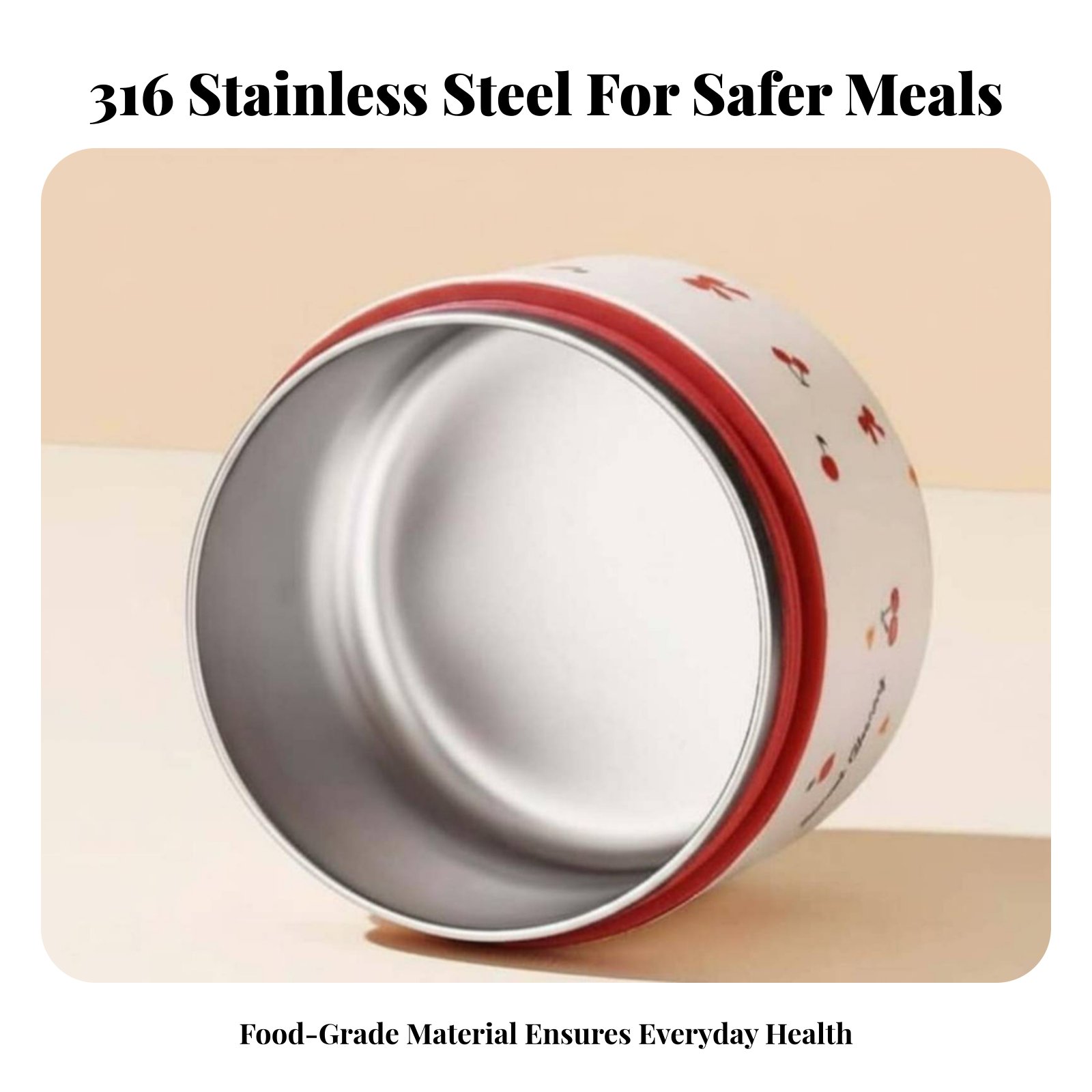 316 Stainless Steel Double-Tie - مراجعة Stainless Lunch Box وسعره