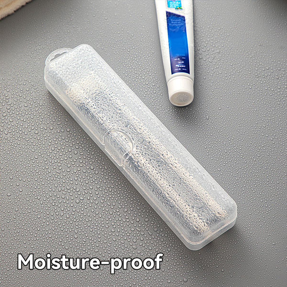 WORTHBUY Toothbrush Box Transp - مراجعة Food Storage Quart وسعره
