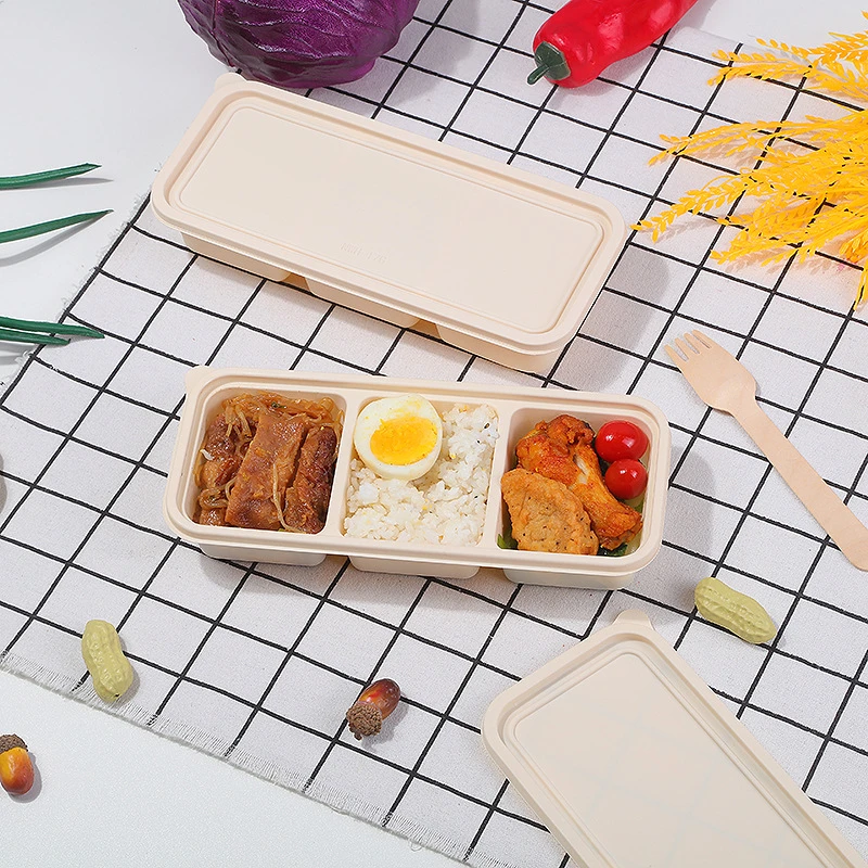 Hamburger Lunch Box Double Tie - مراجعة Food Storage Drawer Organizer وسعره