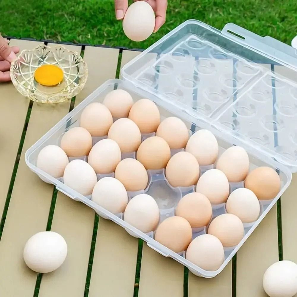 Plastic Egg Storage Box Anti-c - مراجعة Food Storage Quart وسعره