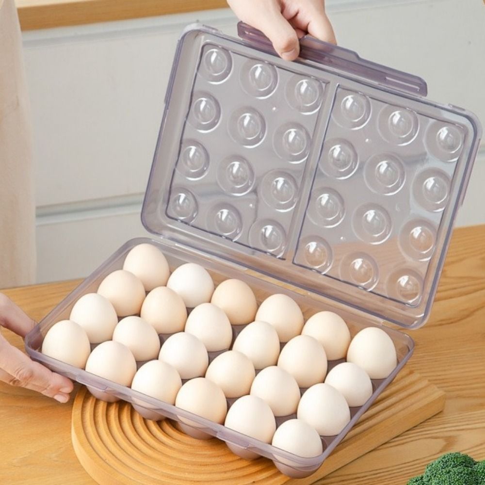 Plastic Egg Storage Box Anti-c - مراجعة Food Storage Quart وسعره
