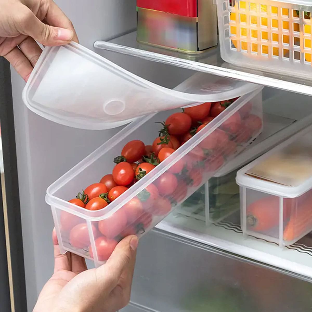 1 Plastic Transparent Storage  - مراجعة Food Storage Quart وسعره